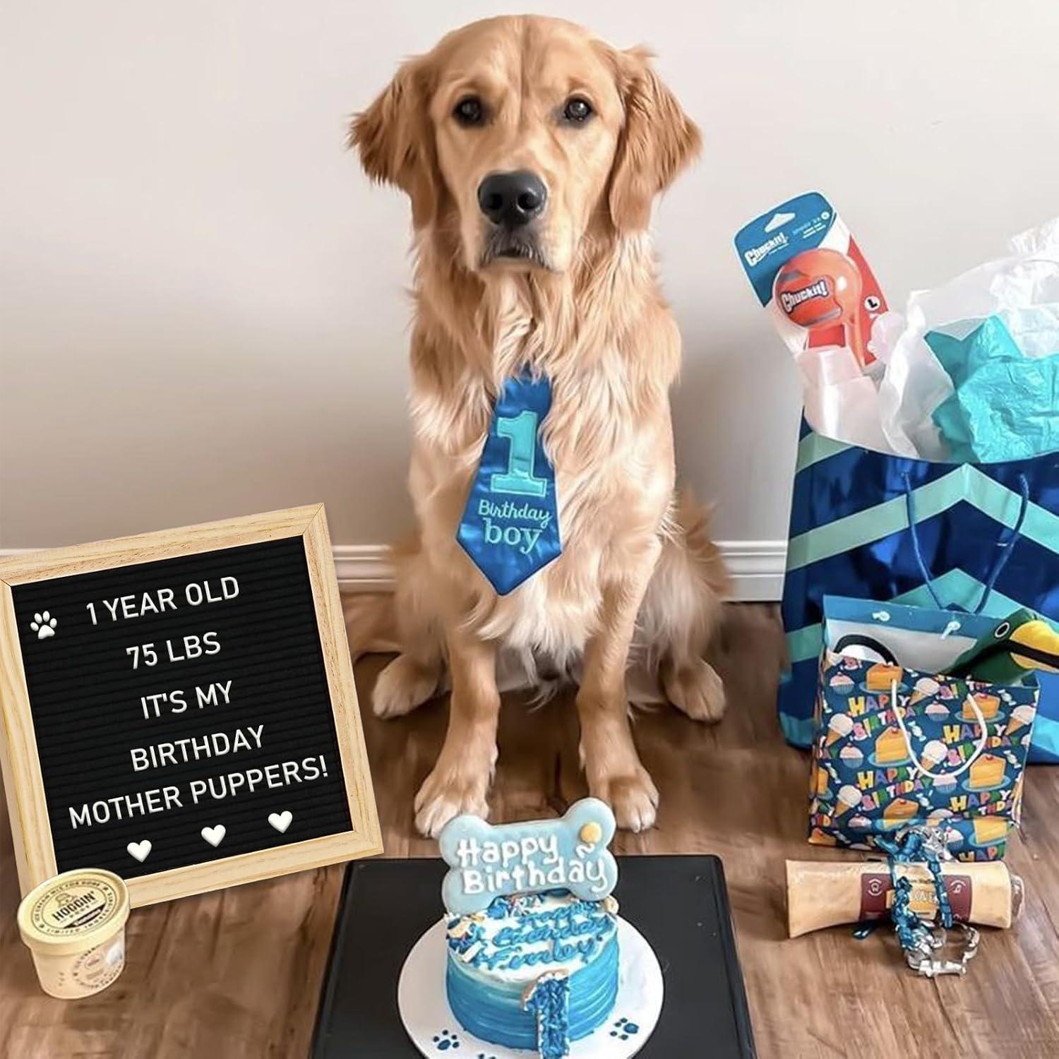 Cartel de Letras 4 THOUGHT 10" x 10" con 500 Letras y Soporte