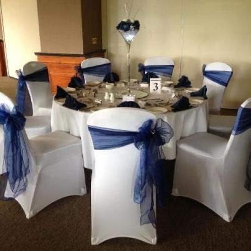 Lazos de Silla de Satén Obstal 50 Piezas Plata 100% Poliester