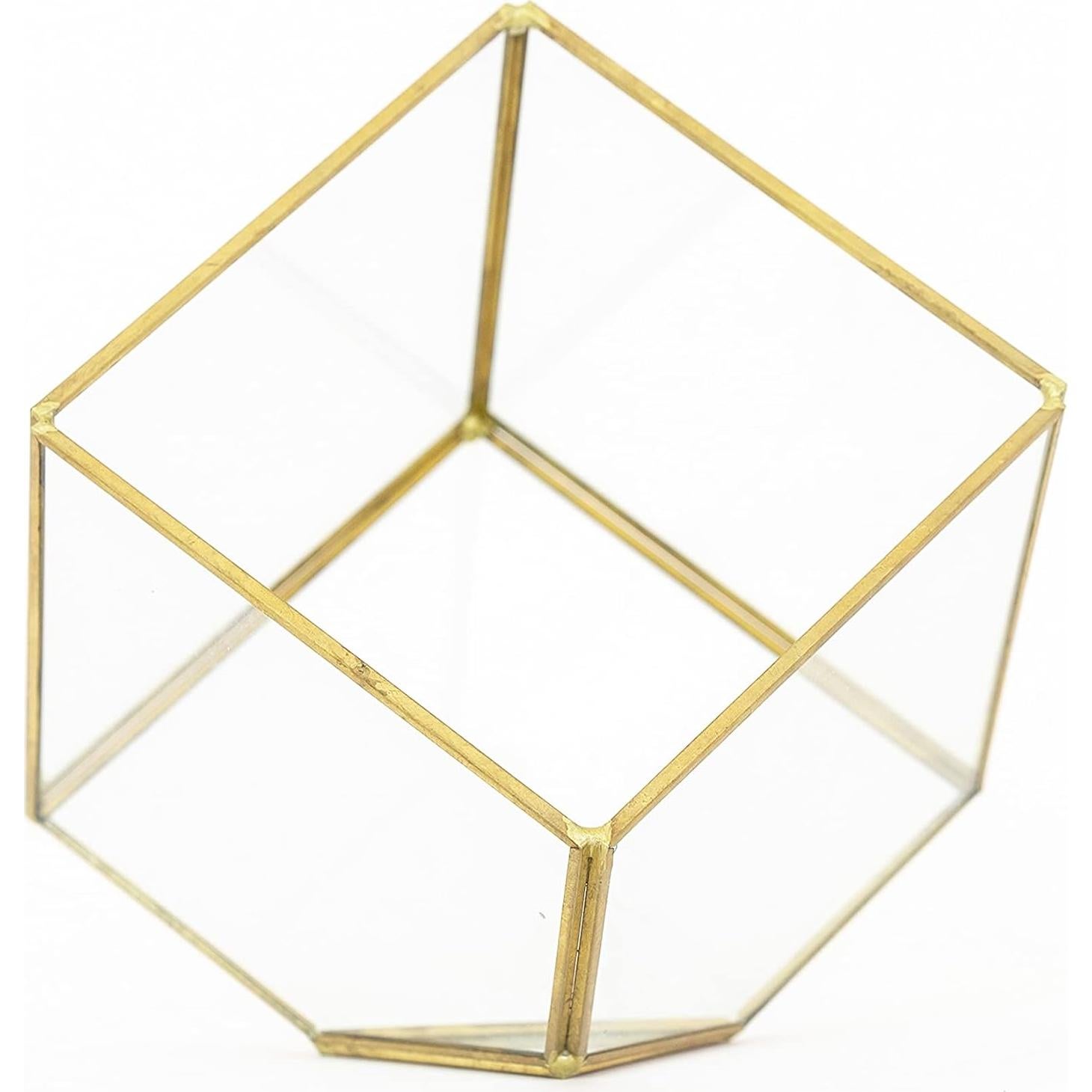 Kit Terrario Geométrico Vidrio Heptaédrico con Tillandsia