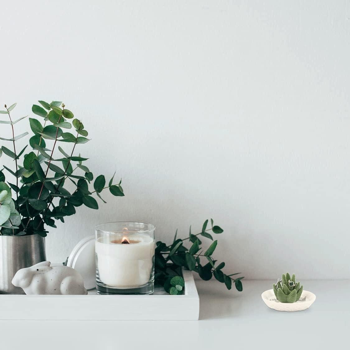 Soporte de Joyería Cerámica HOME SMILE Cactus Aloe 13x13 cm