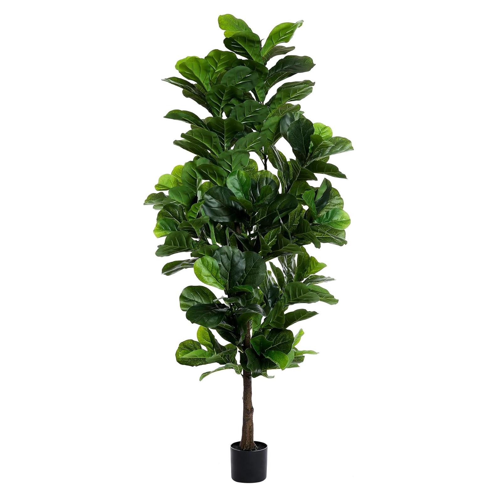 Árbol Fiddle Leaf Fig 1.83m FLOWORLD con 184 Hojas Decorativas