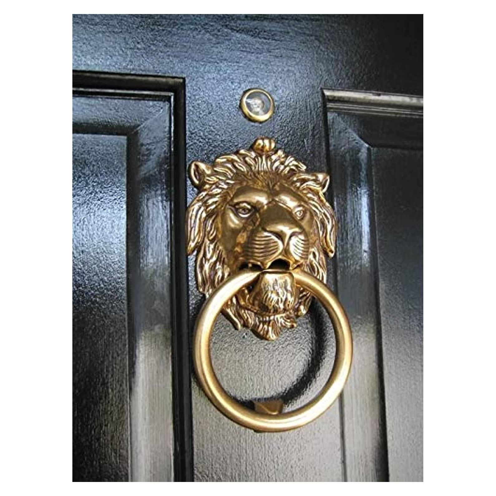 Agujero de puerta león bronce vintage collectiblesBuy 17.78x10.16cm