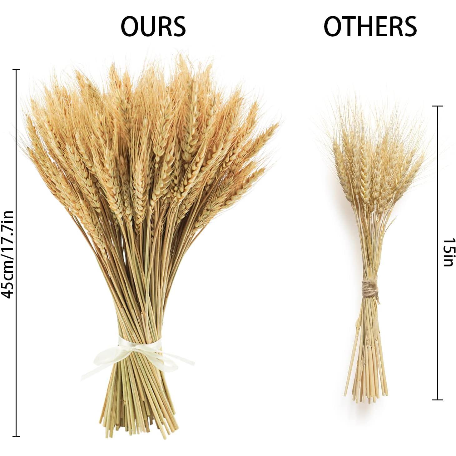 Ramo de Espigas de Trigo Secas 100% Natural Phliofd 44.96 cm