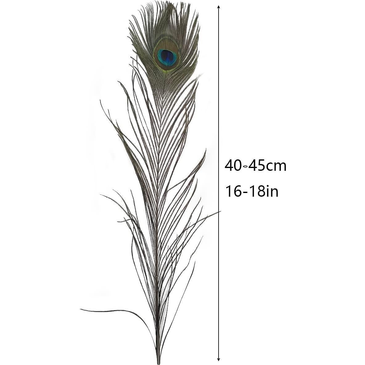 Plumas de Pavo Real Naturales 40-45 cm - 20 Piezas para Decoración