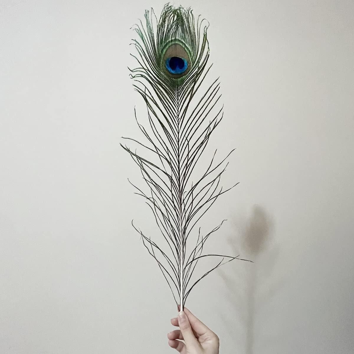 Plumas de Pavo Real Naturales 40-45 cm - 20 Piezas para Decoración