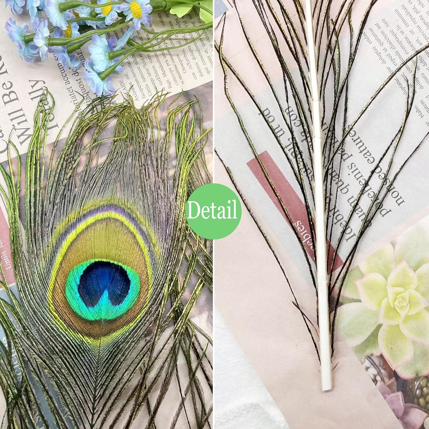 Plumas de Pavo Real Naturales 40-45 cm - 20 Piezas para Decoración