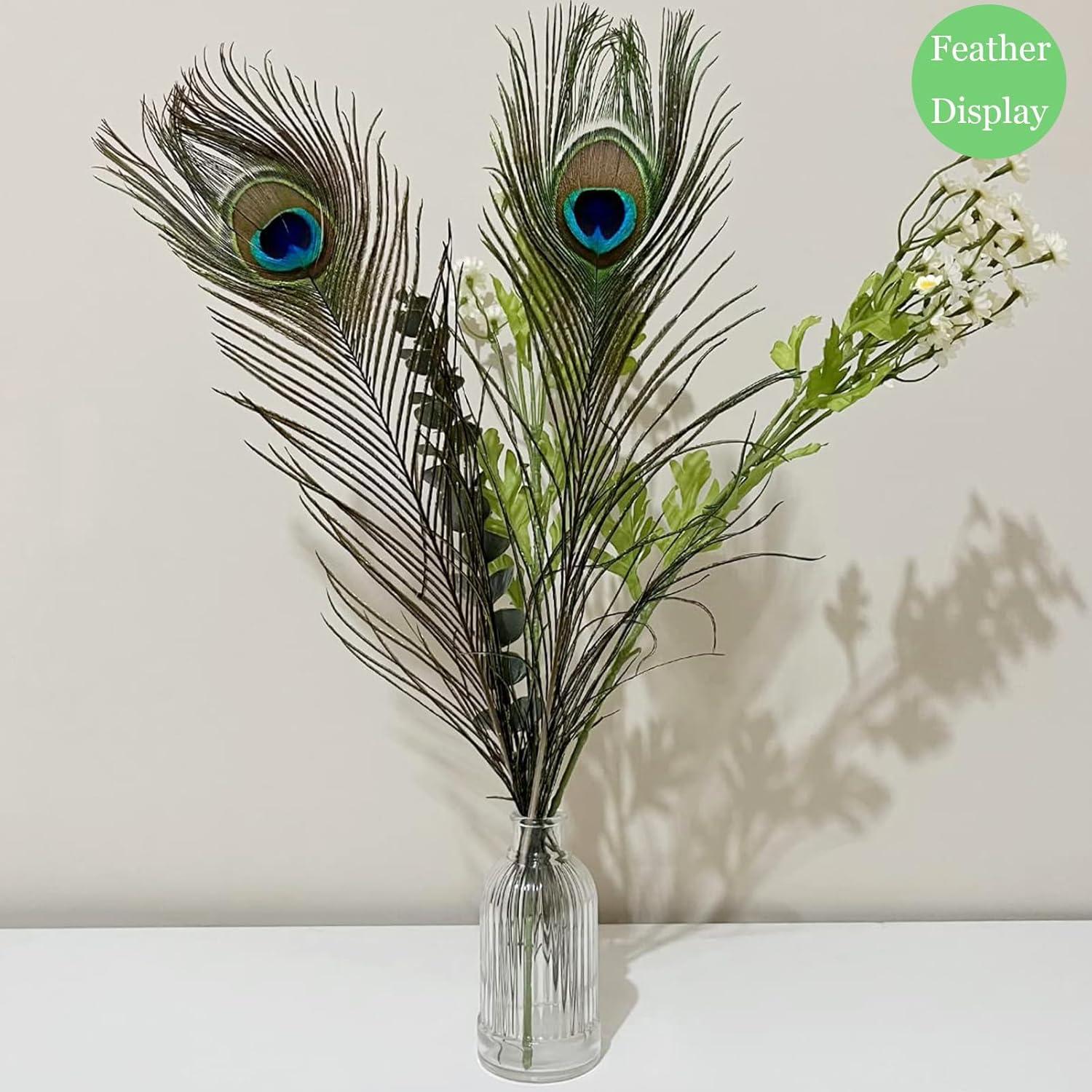 Plumas de Pavo Real Naturales 40-45 cm - 20 Piezas para Decoración