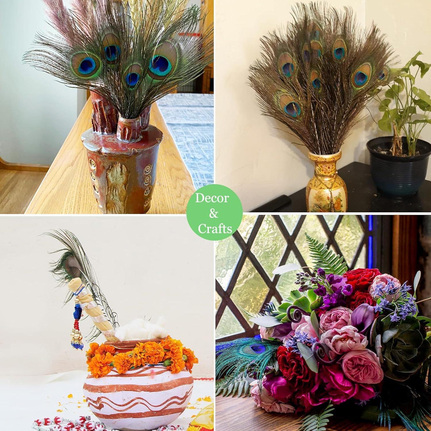 Plumas de Pavo Real Naturales 40-45 cm - 20 Piezas para Decoración