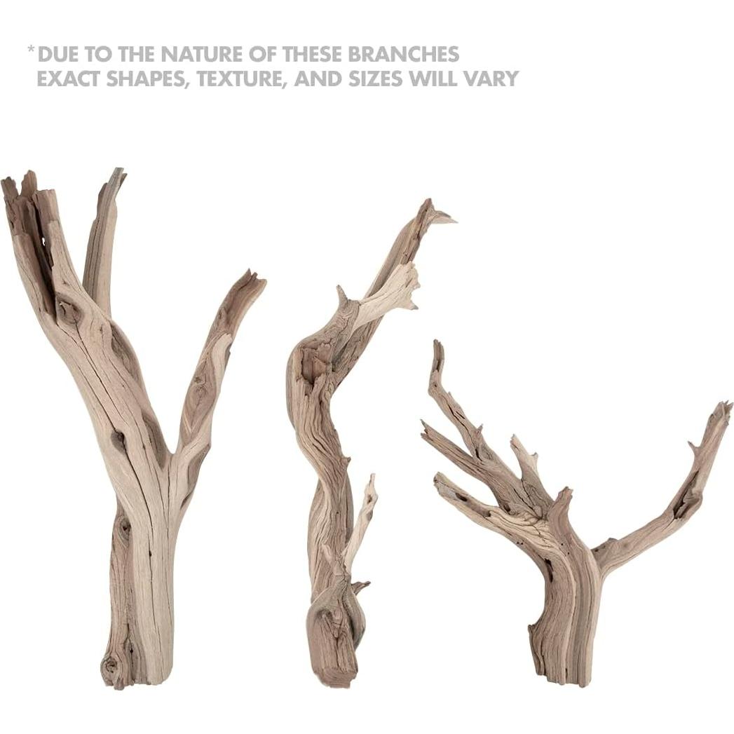 Decoración de Terrario Koyal Wholesale 30.48 cm Madera Flotante