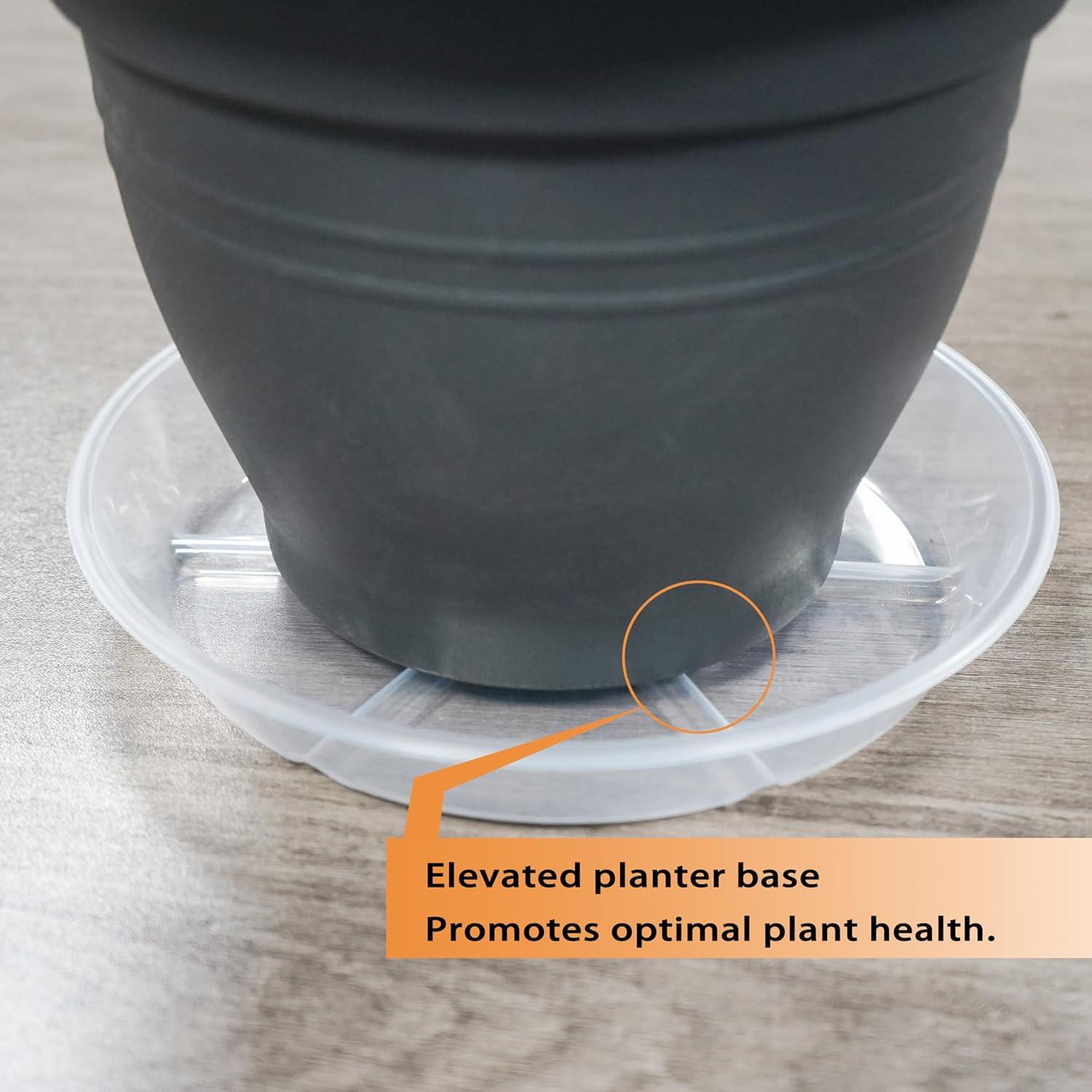Juego de 6 Platos para Plantas 16.8 cm MSKIAUO Transparentes
