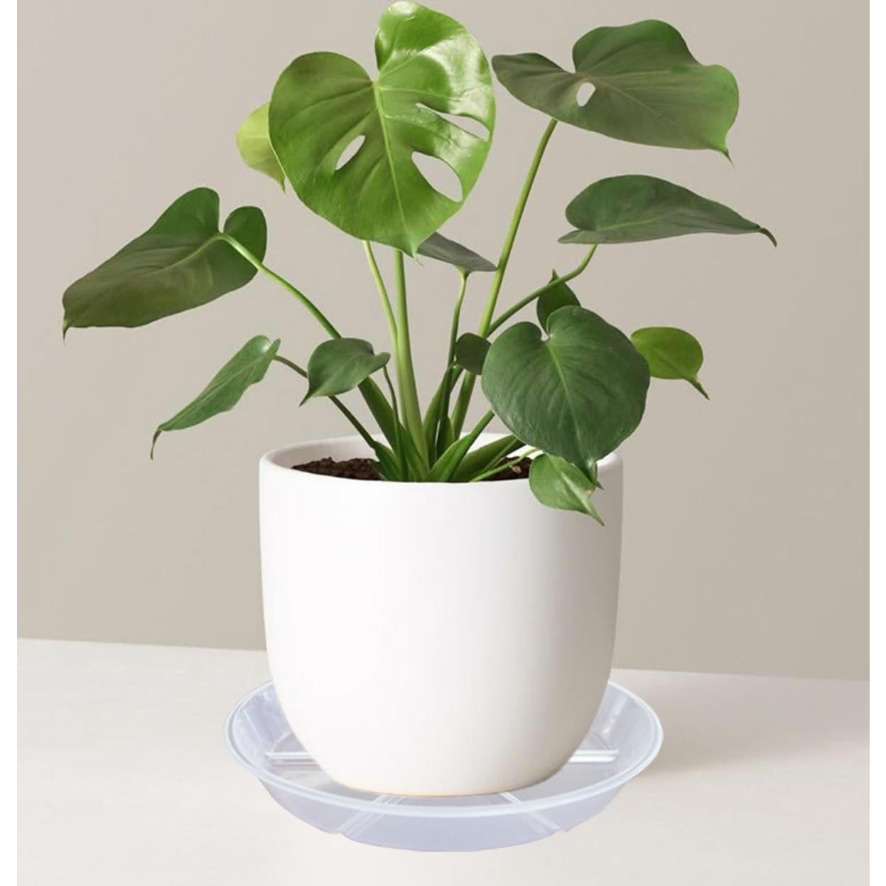 Juego de 6 Platos para Plantas 16.8 cm MSKIAUO Transparentes