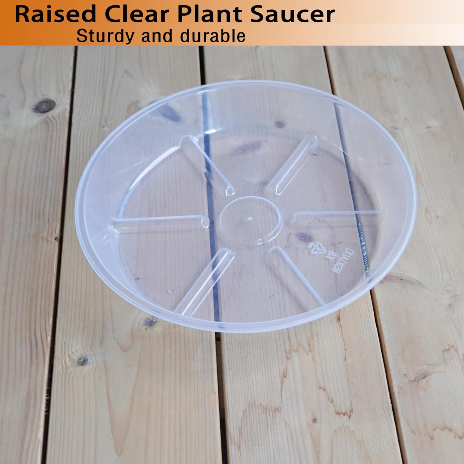 Juego de 6 Platos para Plantas 16.8 cm MSKIAUO Transparentes