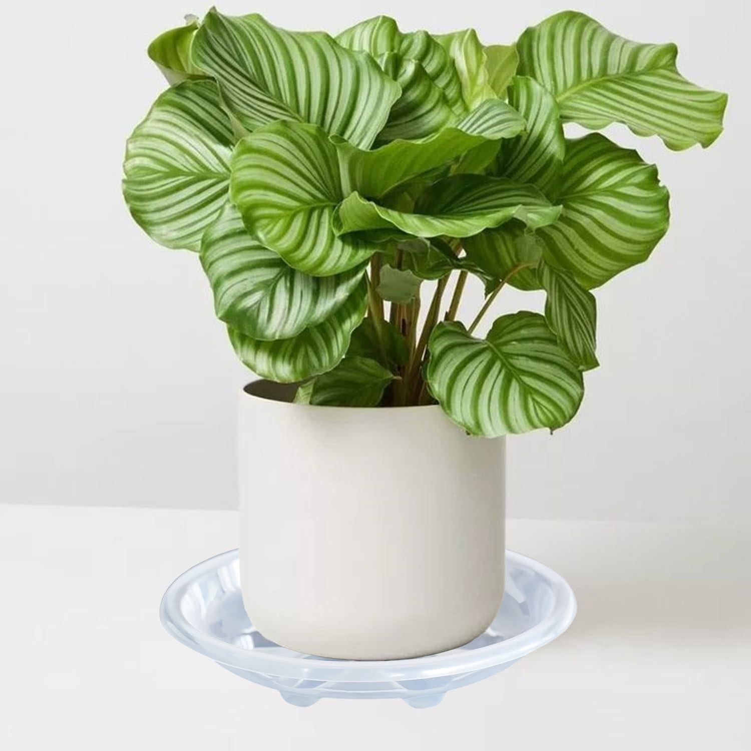 Paquete de 6 platos para plantas OVZILKI 22 cm transparentes