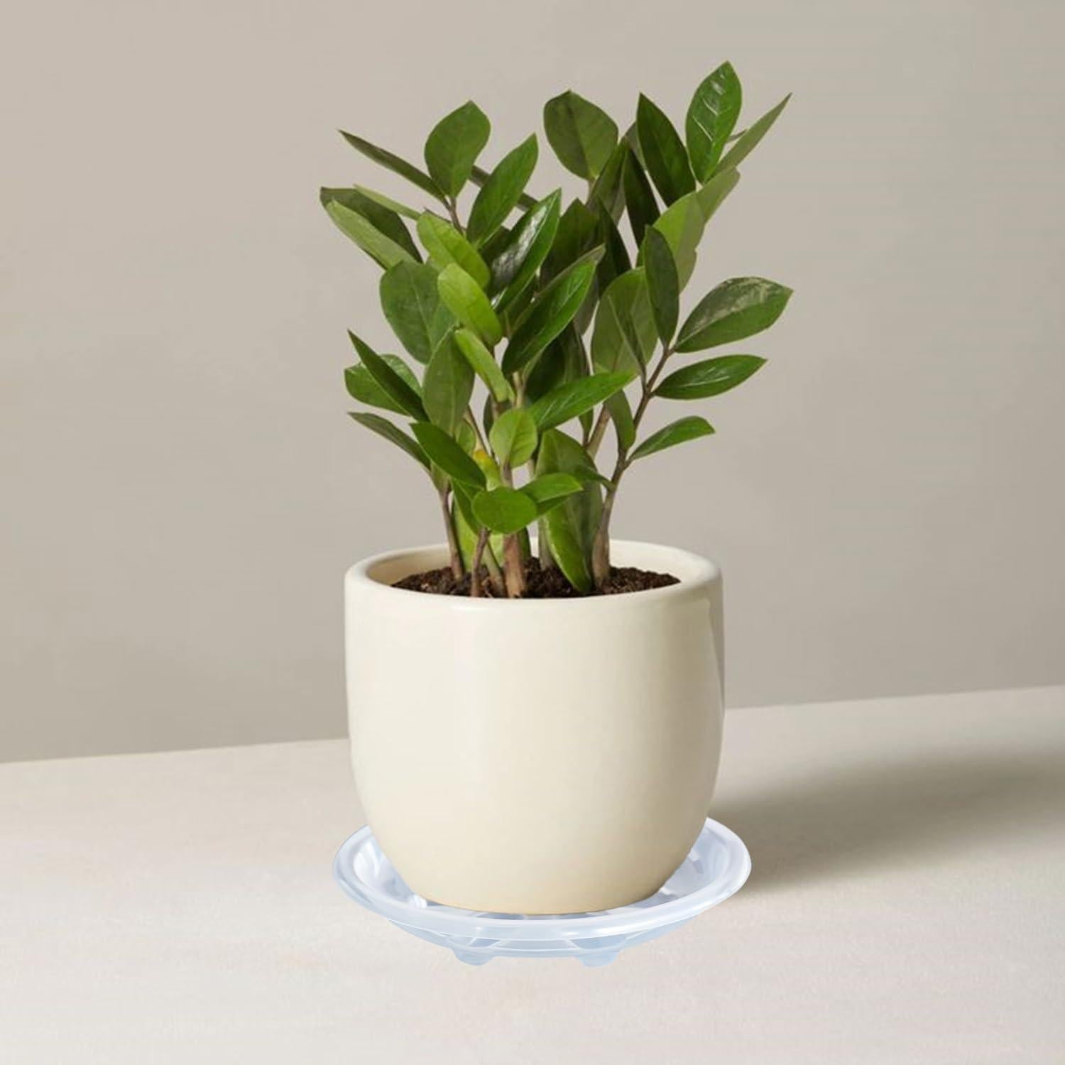 Paquete de 6 platos para plantas OVZILKI 22 cm transparentes