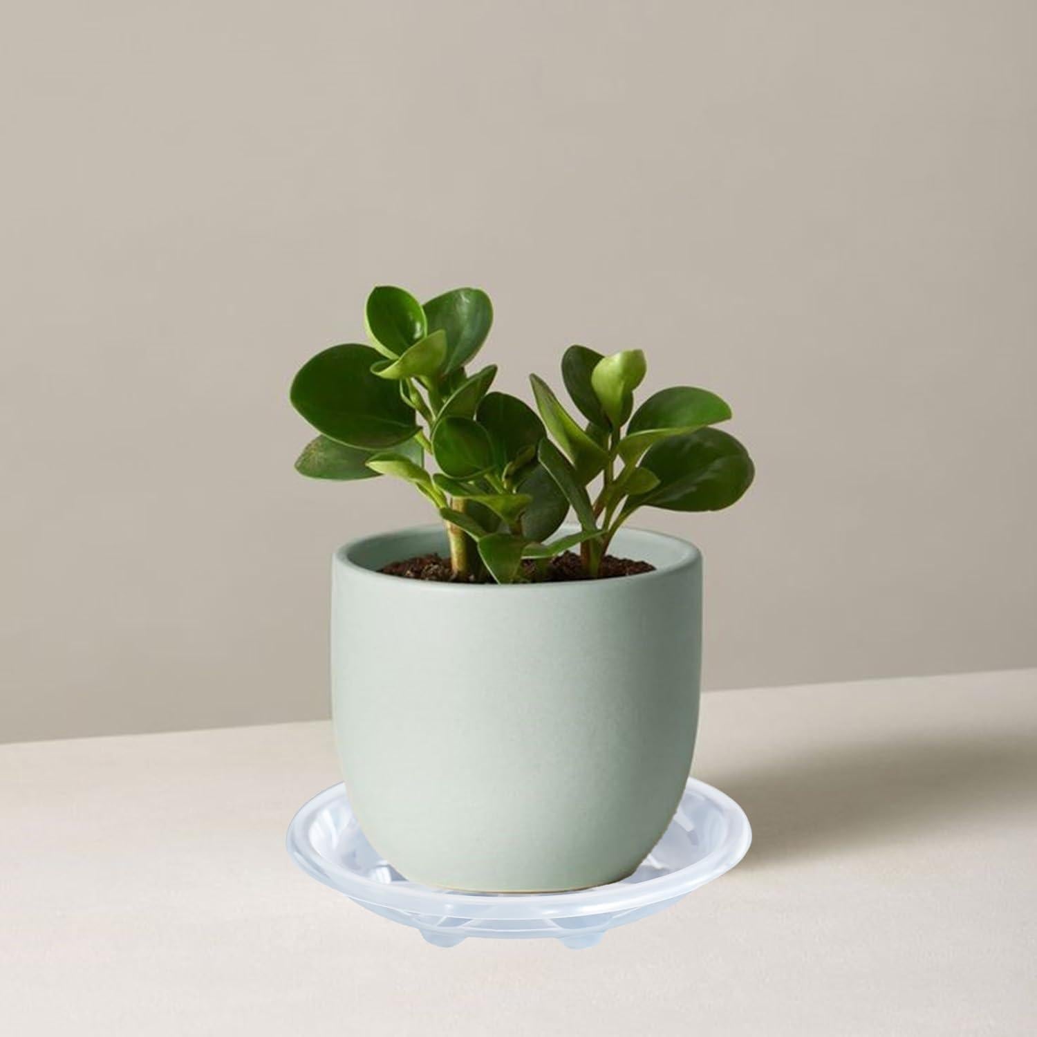 Paquete de 6 platos para plantas OVZILKI 22 cm transparentes