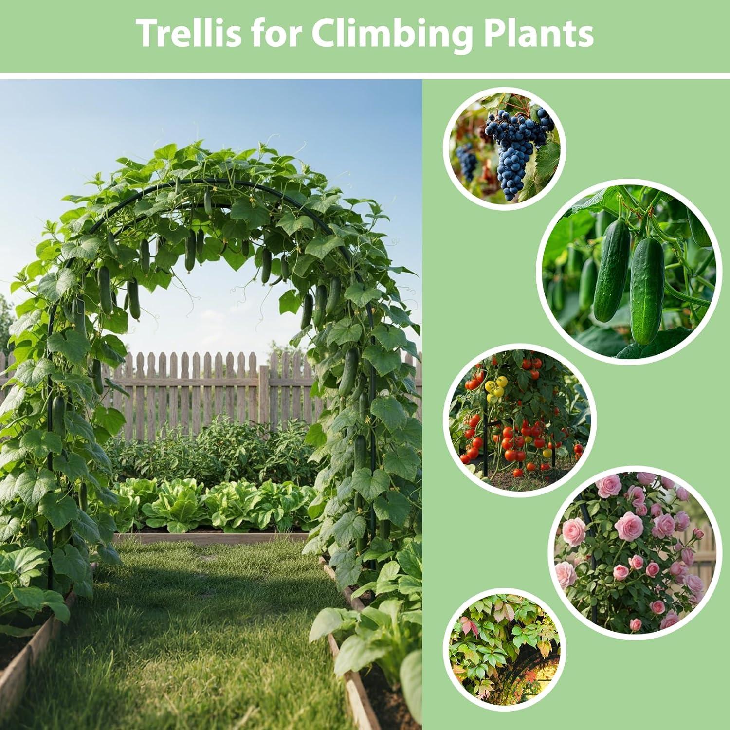 Arco de Jardín de Metal RUBFAC 139.7x238.8 cm Negro