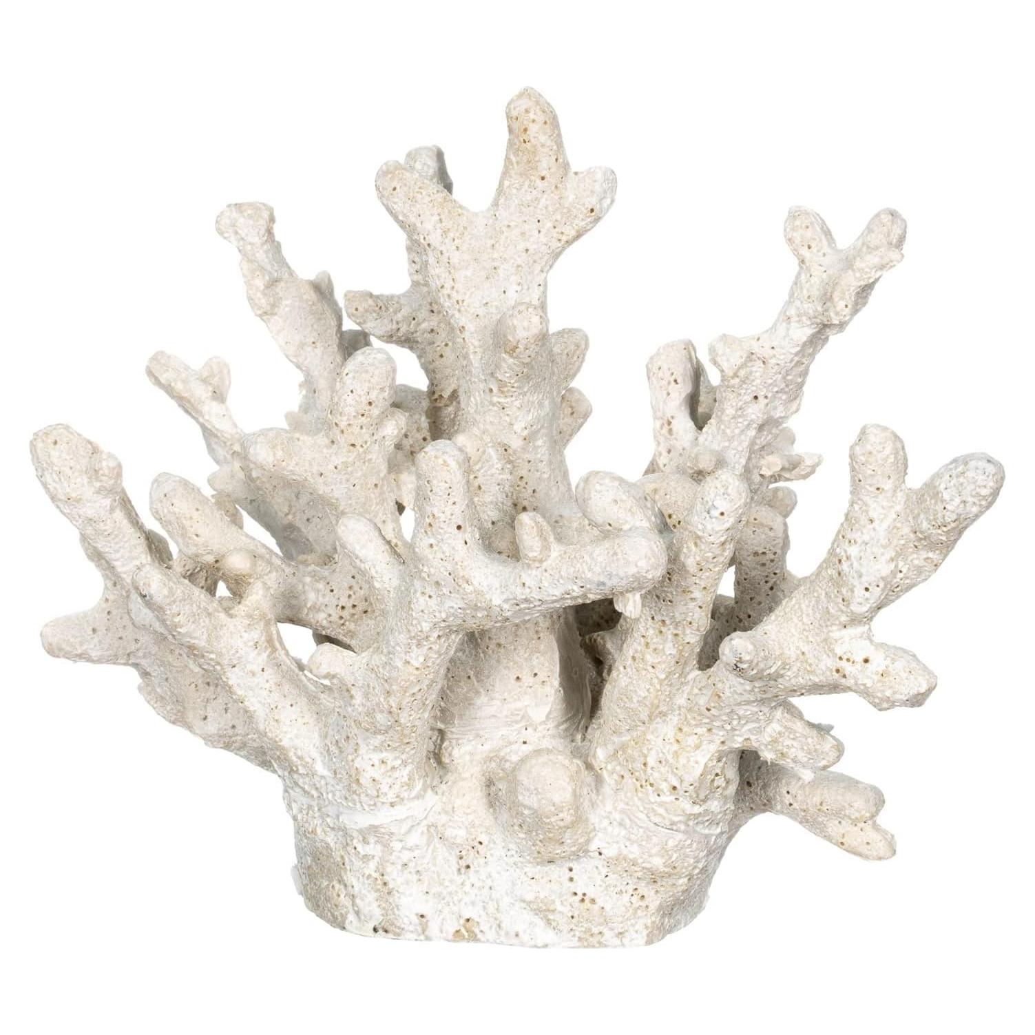 Coral Blanco Decorativo Nautical Crush Trading 16.5x12.7x14cm