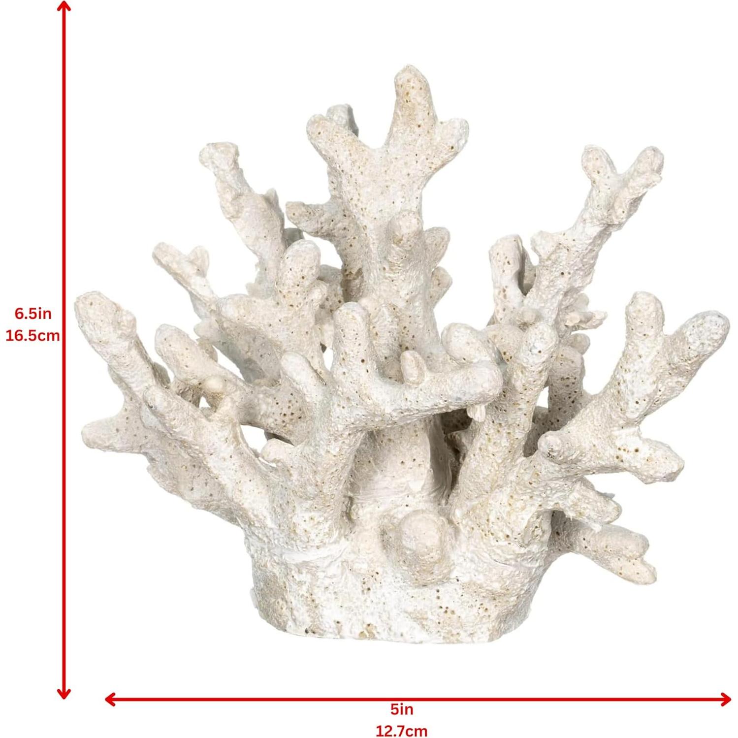 Coral Blanco Decorativo Nautical Crush Trading 16.5x12.7x14cm
