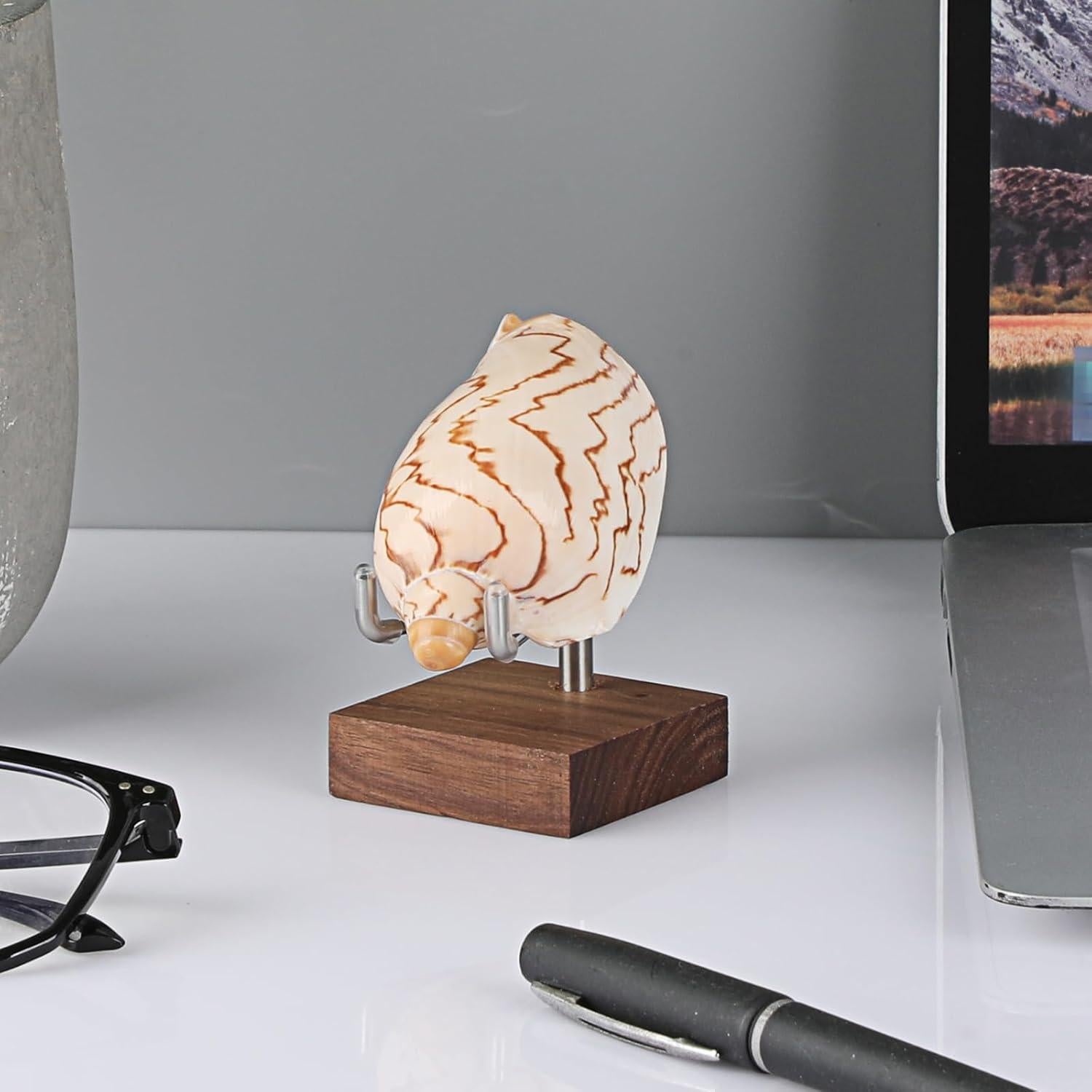 Soporte de Exhibición Hipiwe 2 Piezas con Base de Madera