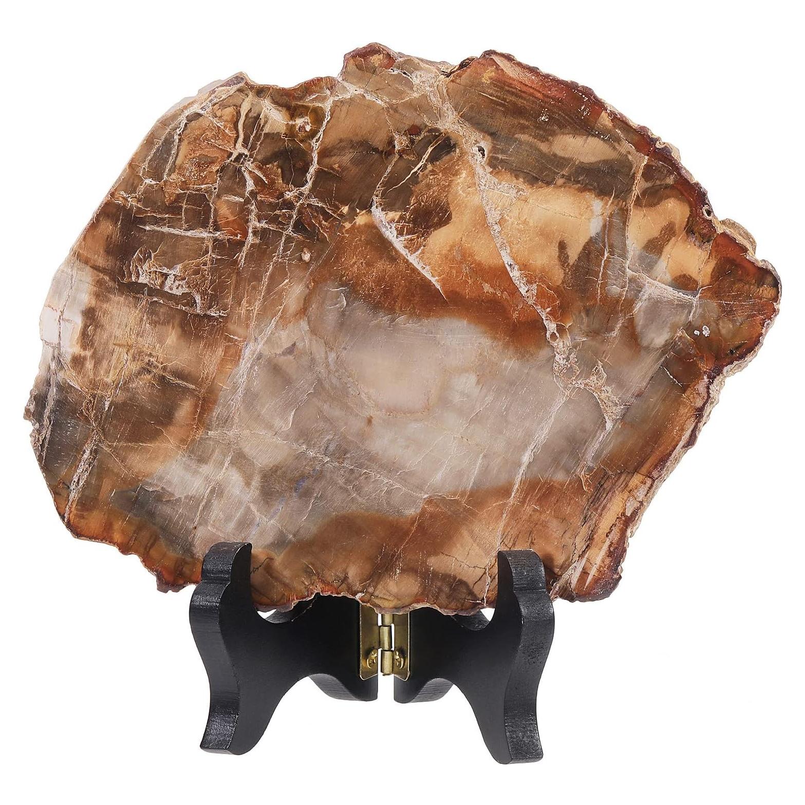 Losa de Madera Petrificada Natural con Soporte de Madera 9.5-17cm