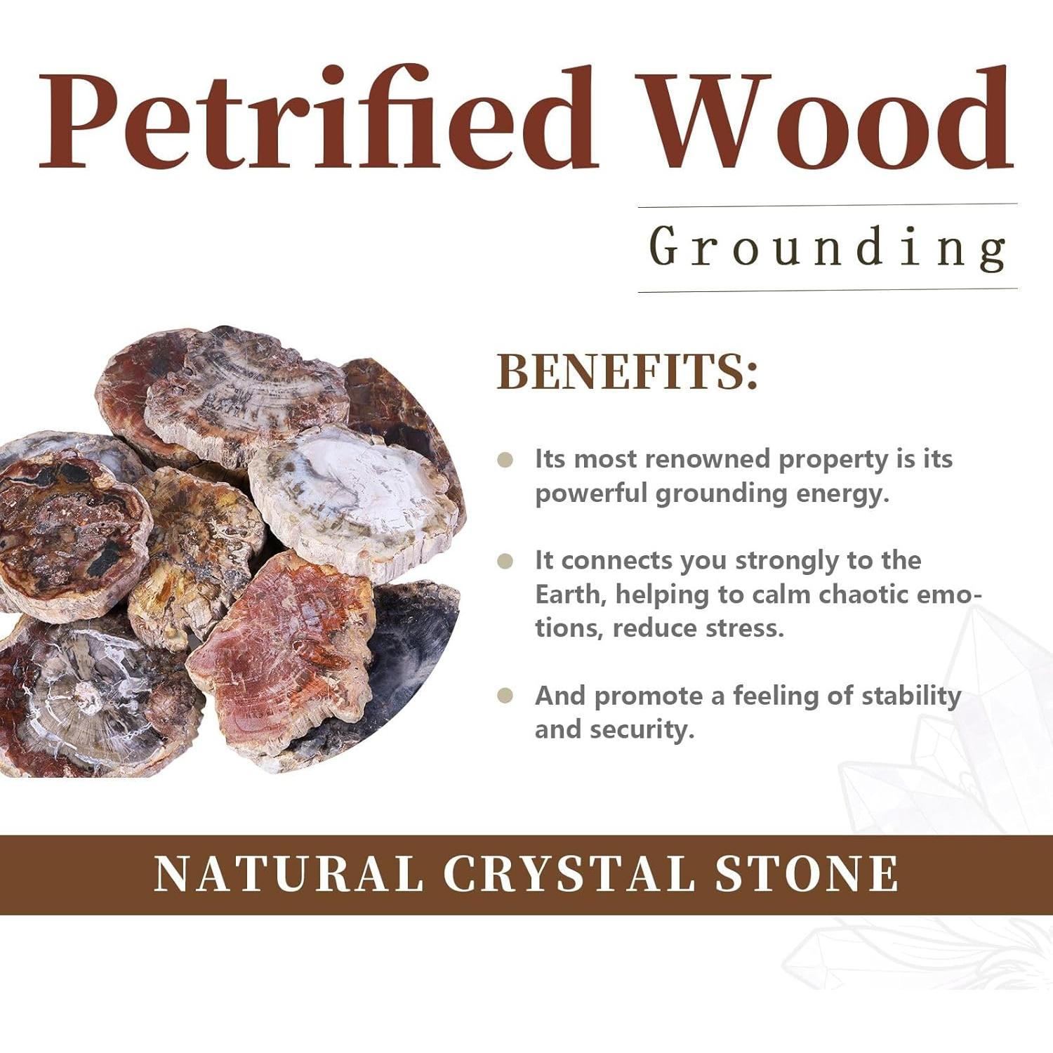 Losa de Madera Petrificada Natural con Soporte de Madera 9.5-17cm