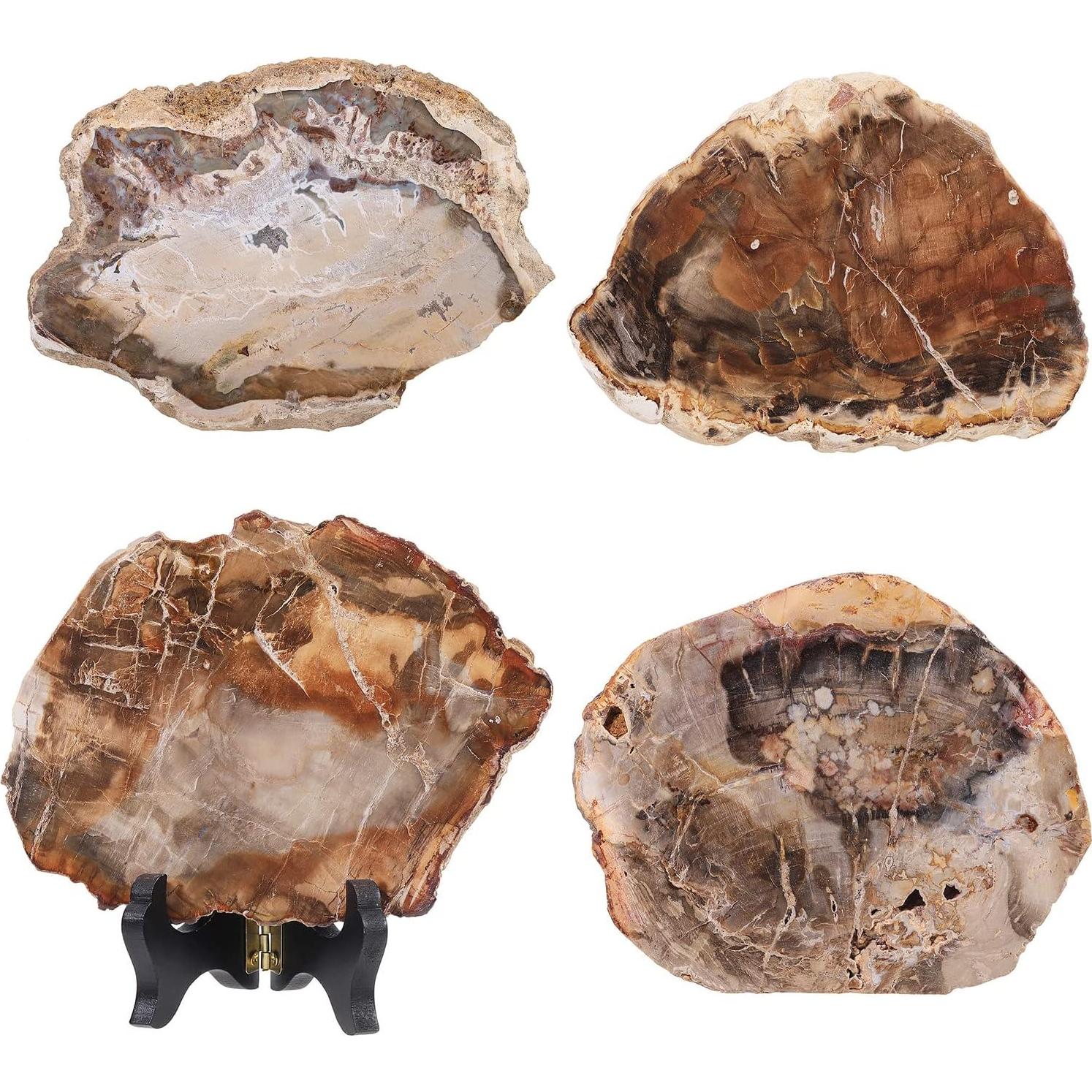 Losa de Madera Petrificada Natural con Soporte de Madera 9.5-17cm