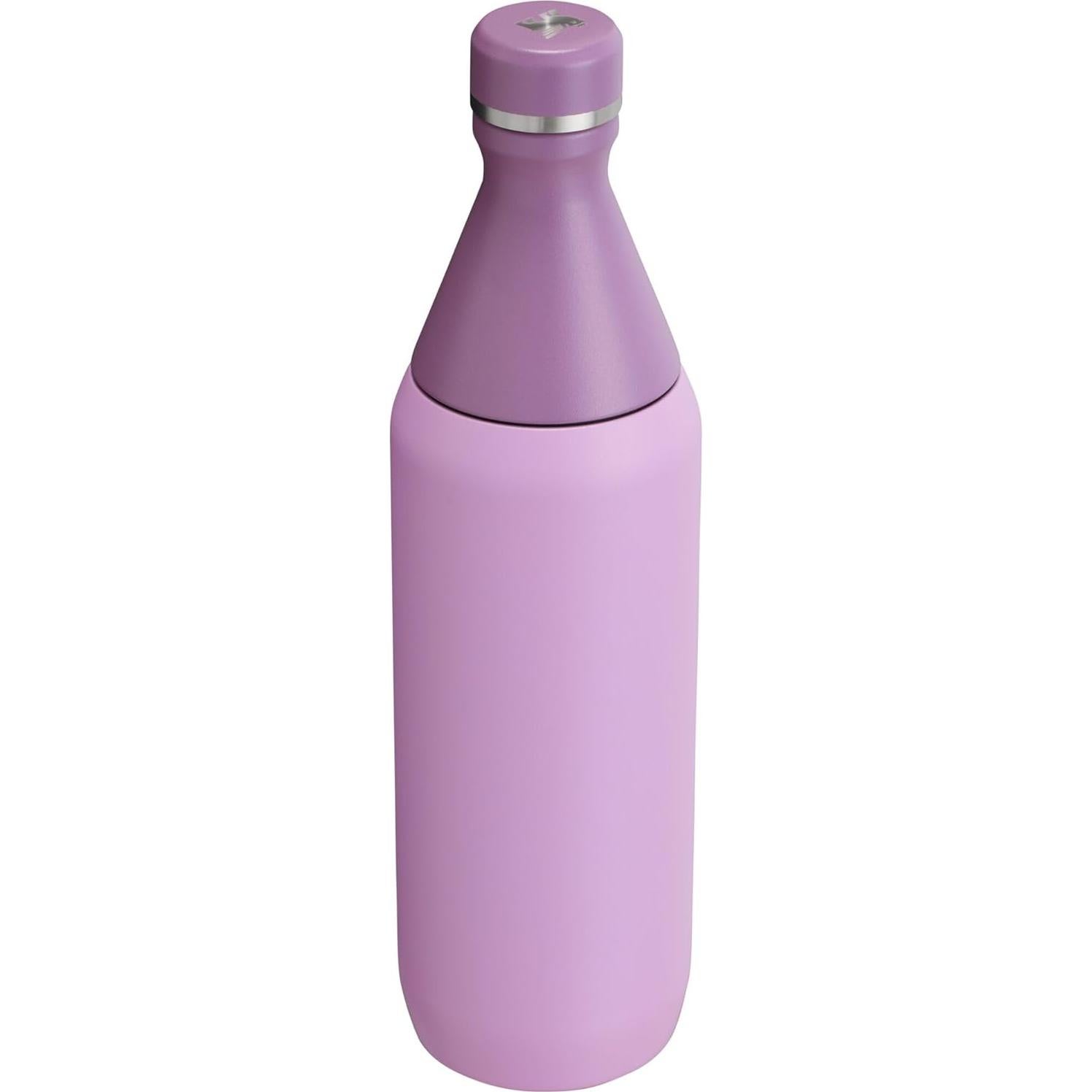 Botella Slim Todo el Día STANLEY 600 ml Acero Inoxidable Lila