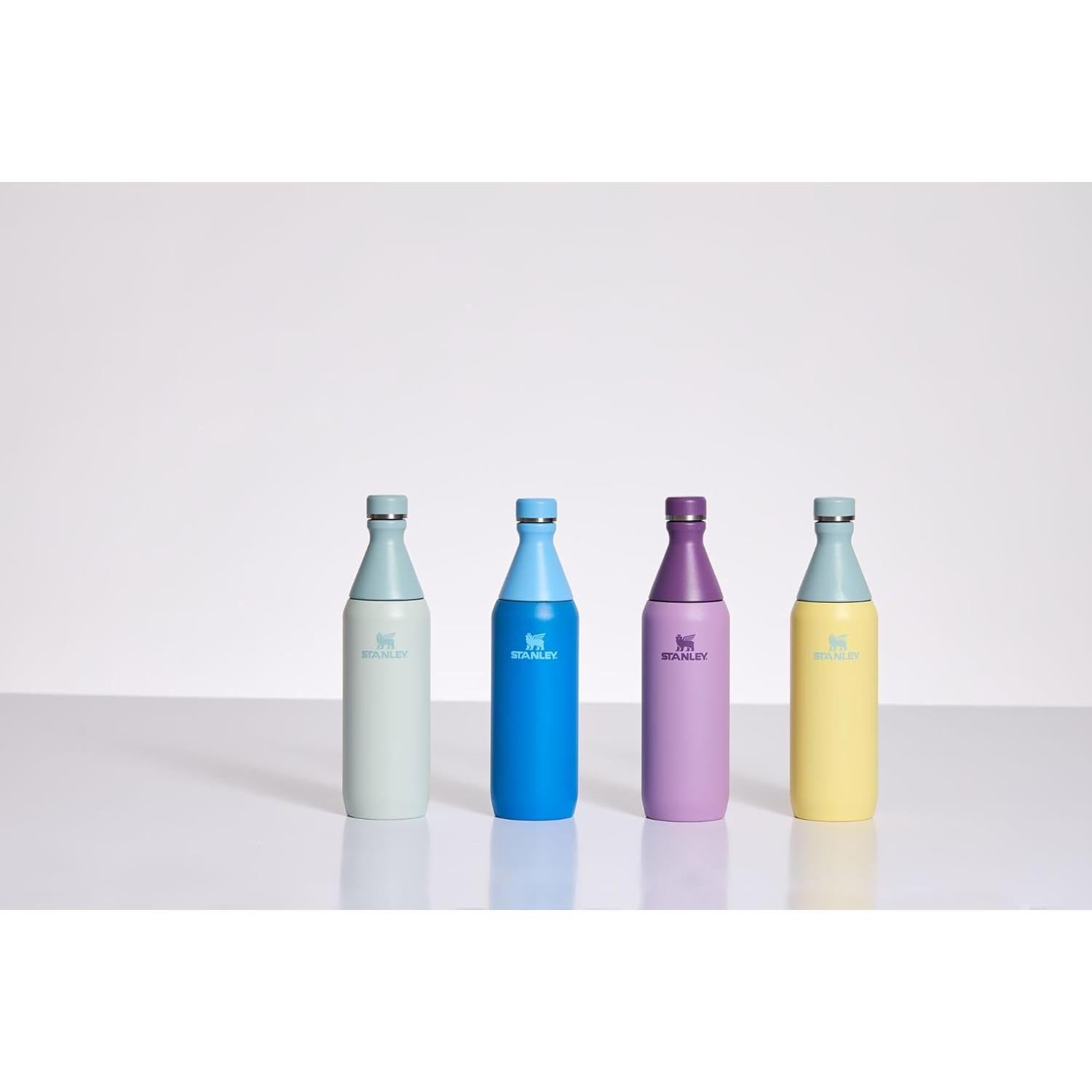 Botella Slim Todo el Día STANLEY 600 ml Acero Inoxidable Lila