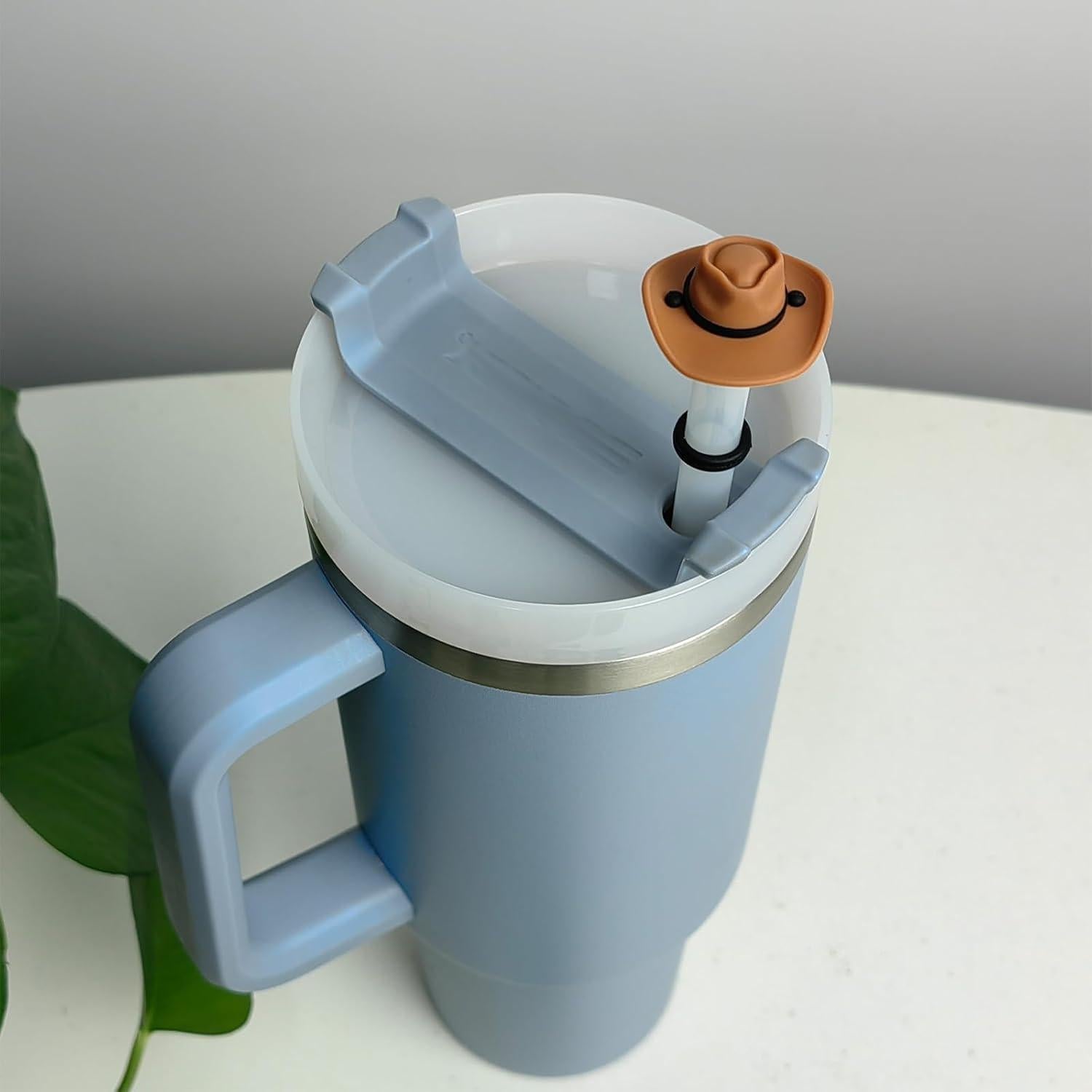 Set de 4 cubiertas de paja HOMDSG sombrero vaquero