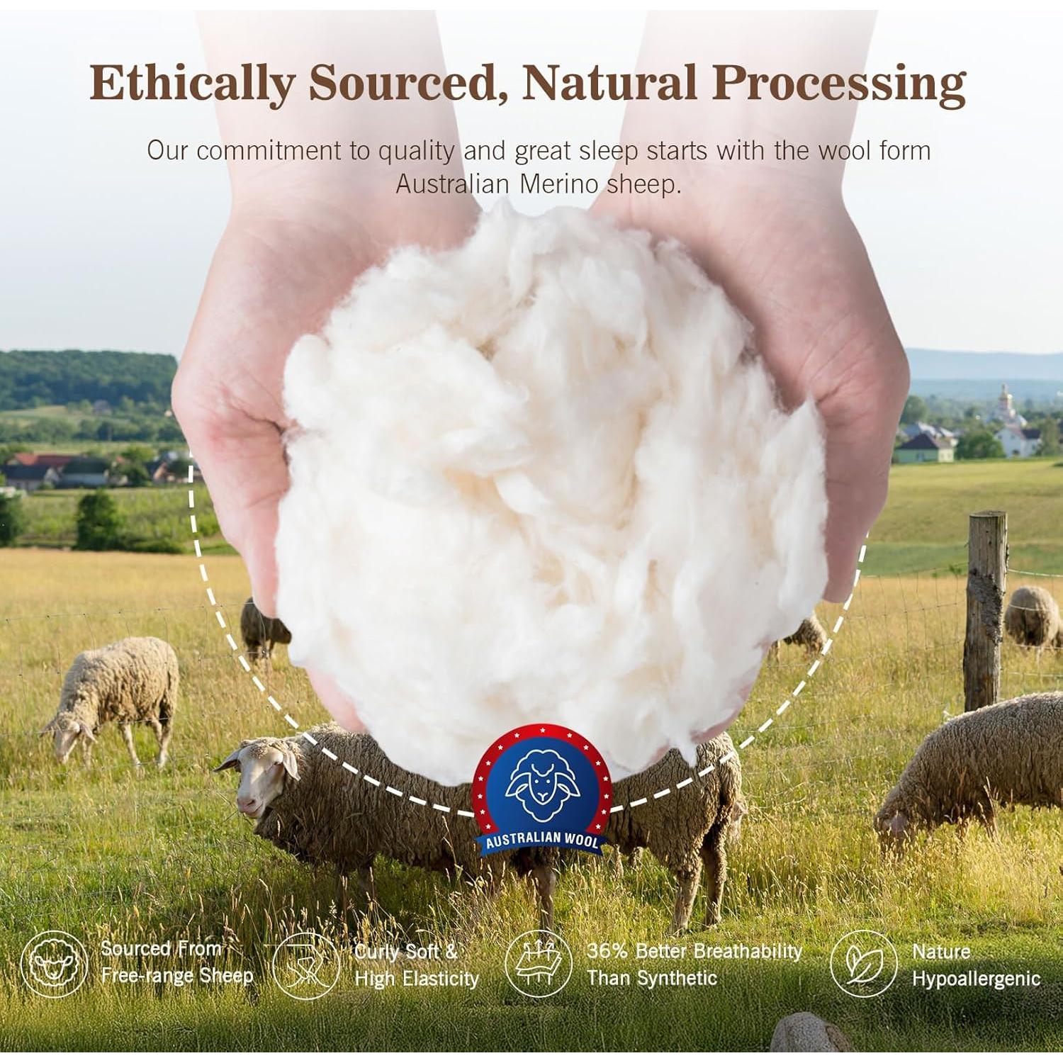 Edredón Híbrido de Lana KUSNUG Queen 100% Algodón Orgánico