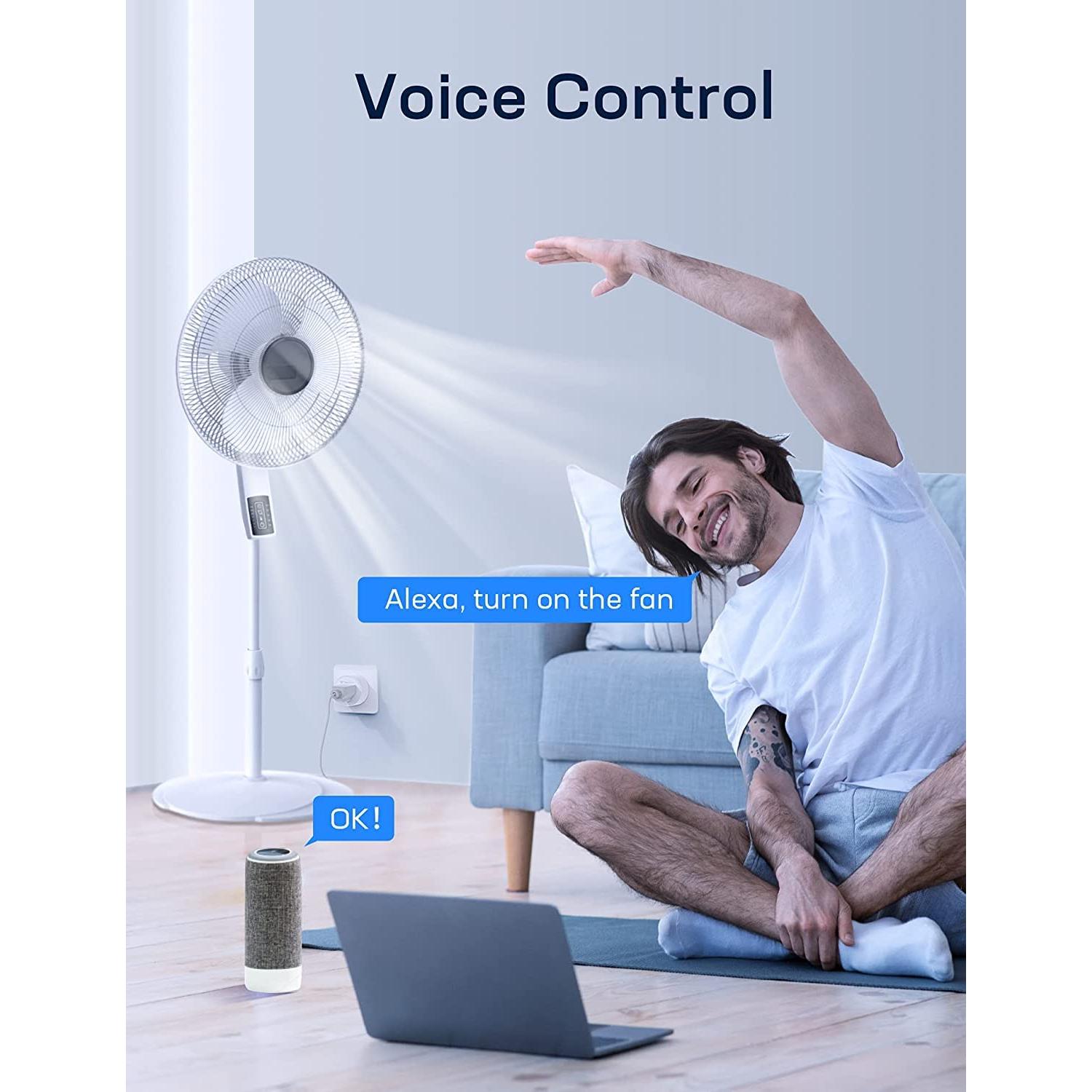 Enchufe Inteligente ZJX CT10-2 Control Remoto y Voz