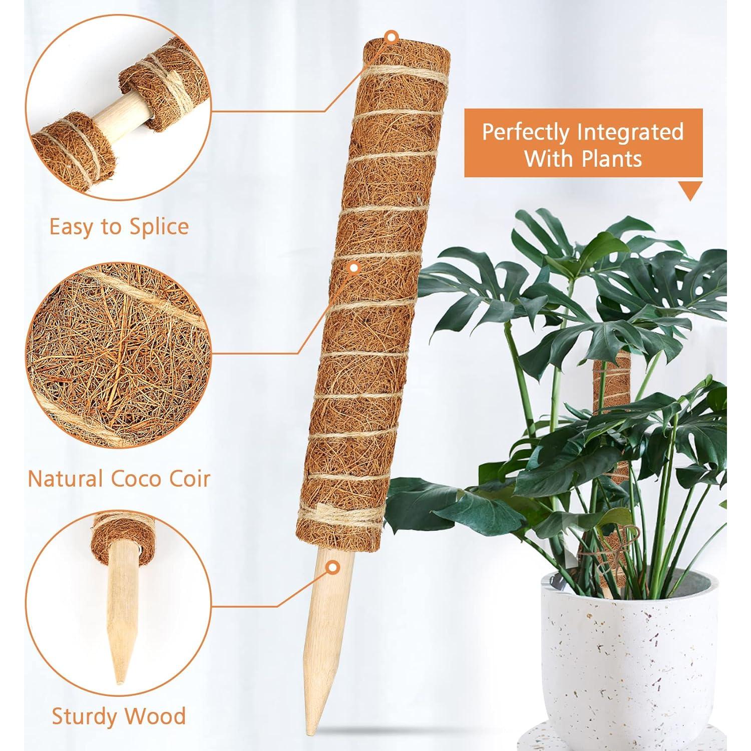 Postes de Musgo de Coco JJGoo 4 Pack 43 cm Soporte Plantas