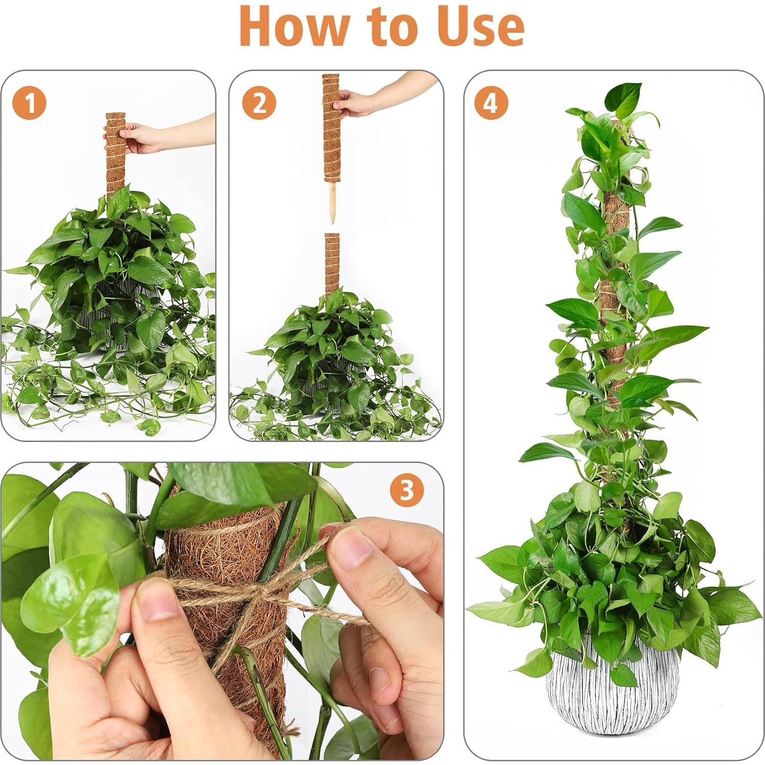 Postes de Musgo de Coco JJGoo 4 Pack 43 cm Soporte Plantas