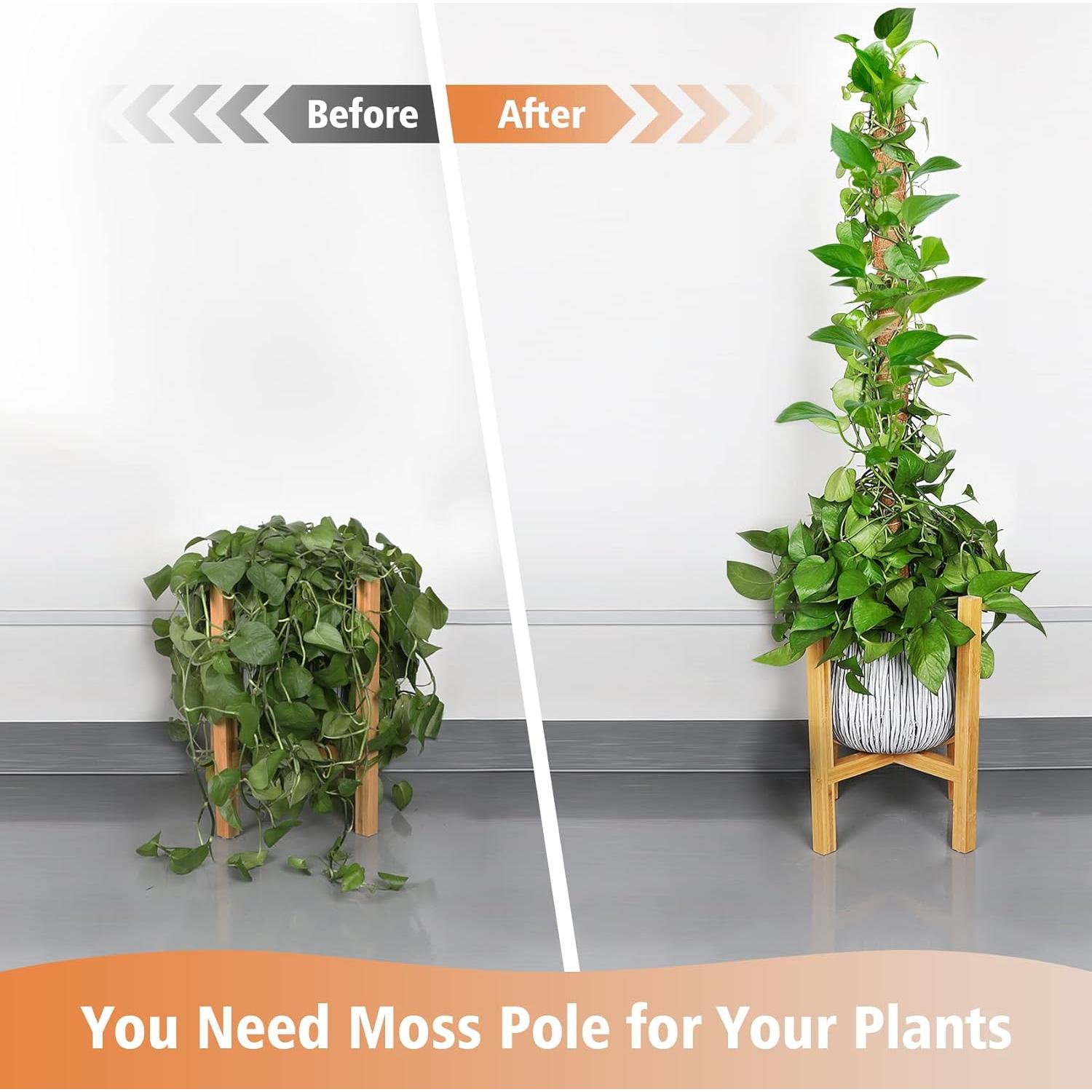 Postes de Musgo de Coco JJGoo 4 Pack 43 cm Soporte Plantas