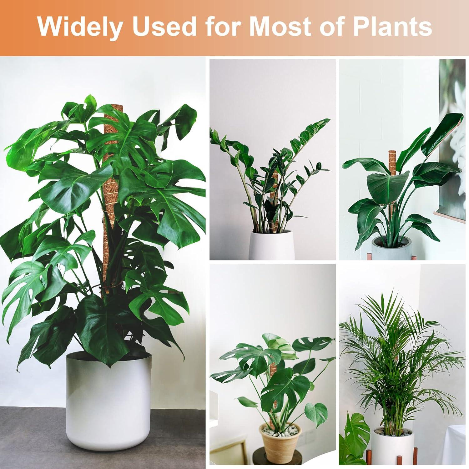 Postes de Musgo de Coco JJGoo 4 Pack 43 cm Soporte Plantas