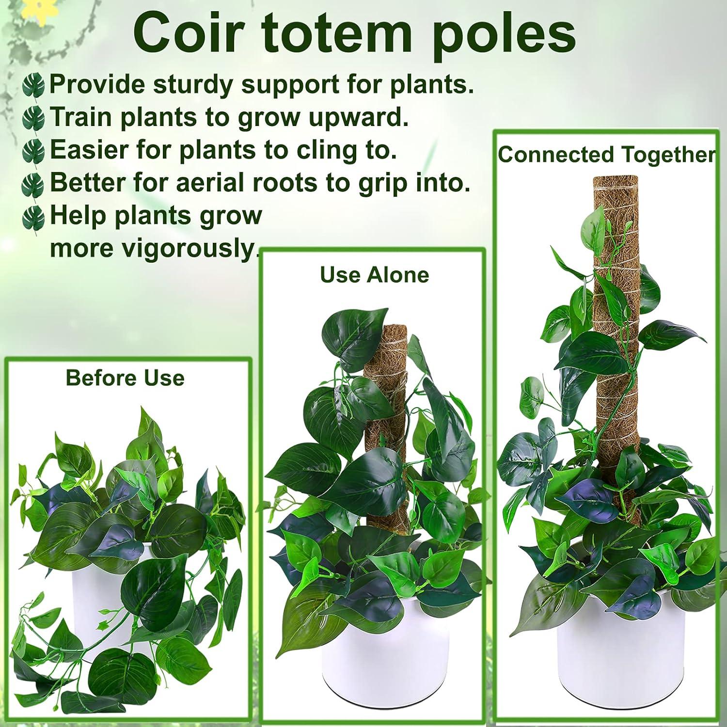 Palo de Musgo Fabulas 40 cm x 4 Piezas Soporte Plantas