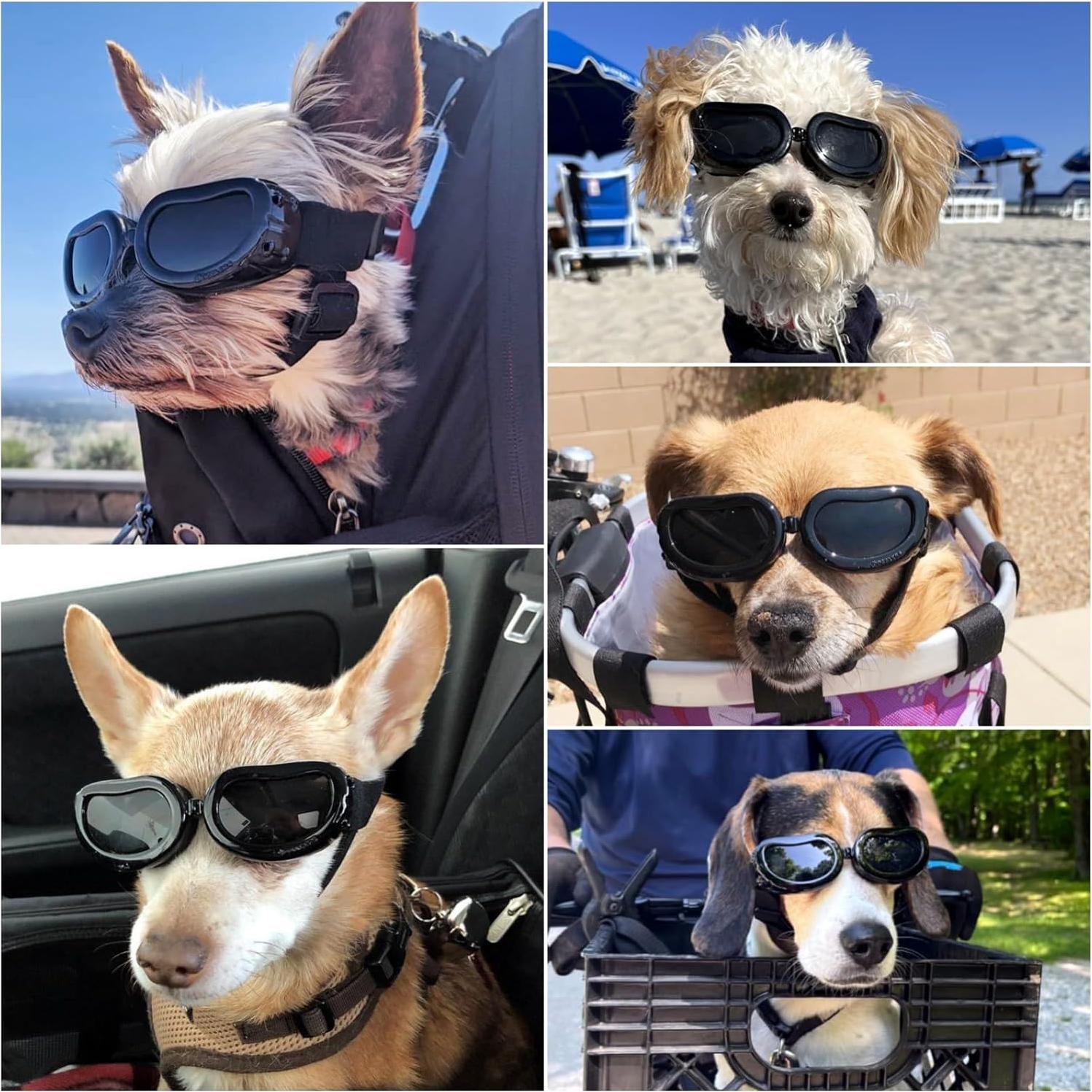 Gafas de sol para perros Enjoying UV400 negras - Ajustables