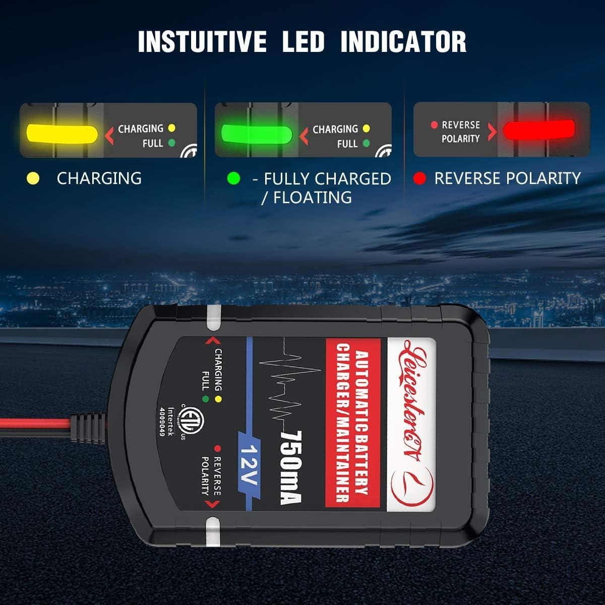 Cargador de Batería LEICESTERCN 12V 750mA 4 Piezas