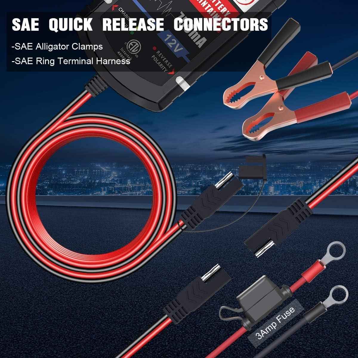 Cargador de Batería LEICESTERCN 12V 750mA 4 Piezas