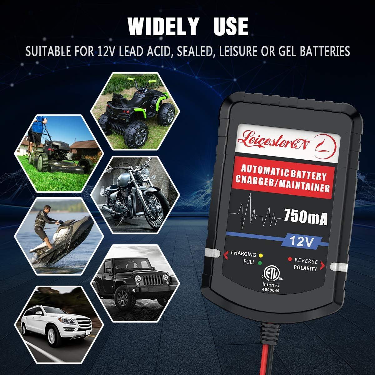 Cargador de Batería LEICESTERCN 12V 750mA 4 Piezas