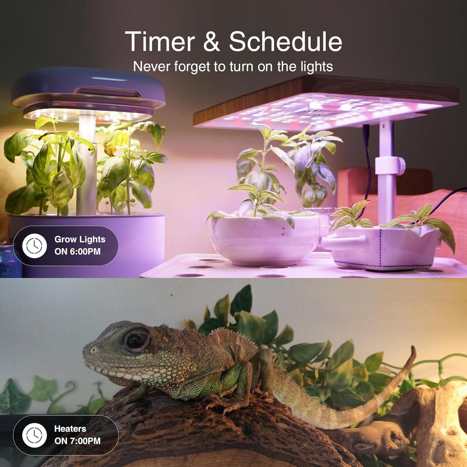 GHome Tira de Energía Inteligente 3 USB 3 Enchufes Controlados