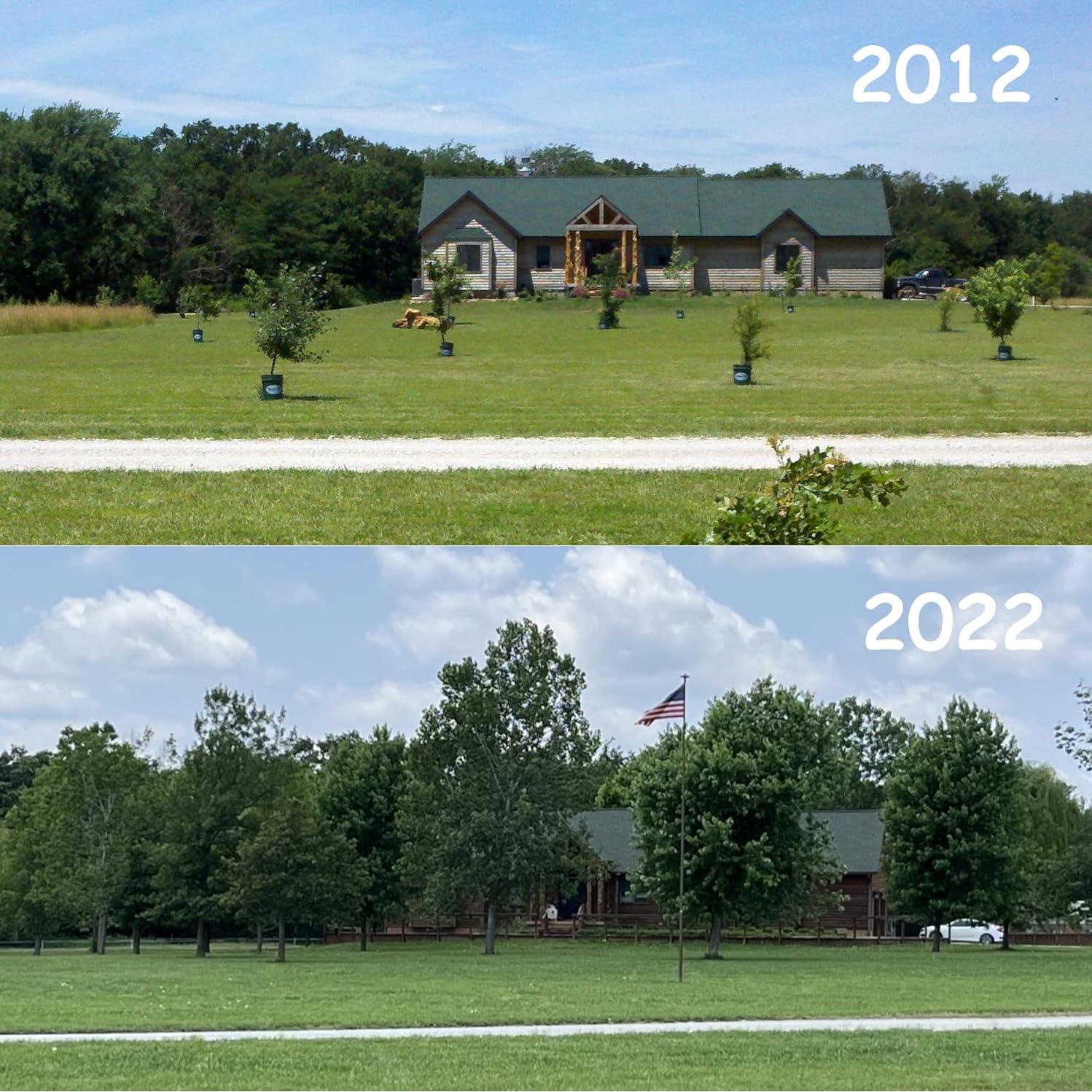 Sistema de Riego Profundo SayeGrow BASEX6 para Plantas