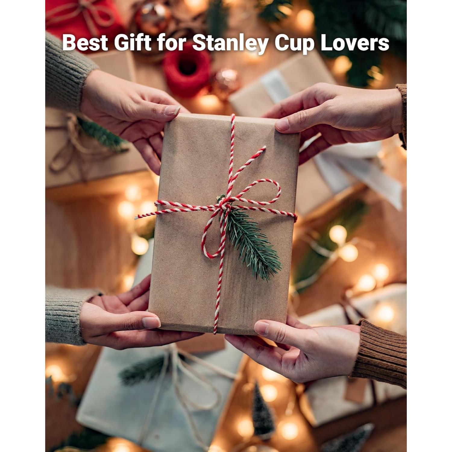 Organizador de Botellas Gracenal para Taza Stanley 12 Botellas