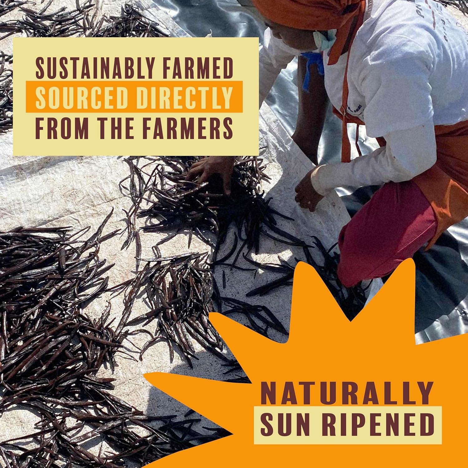 Polvo de Vainilla Orgánica Pura 28g | Beyond Good Madagascar