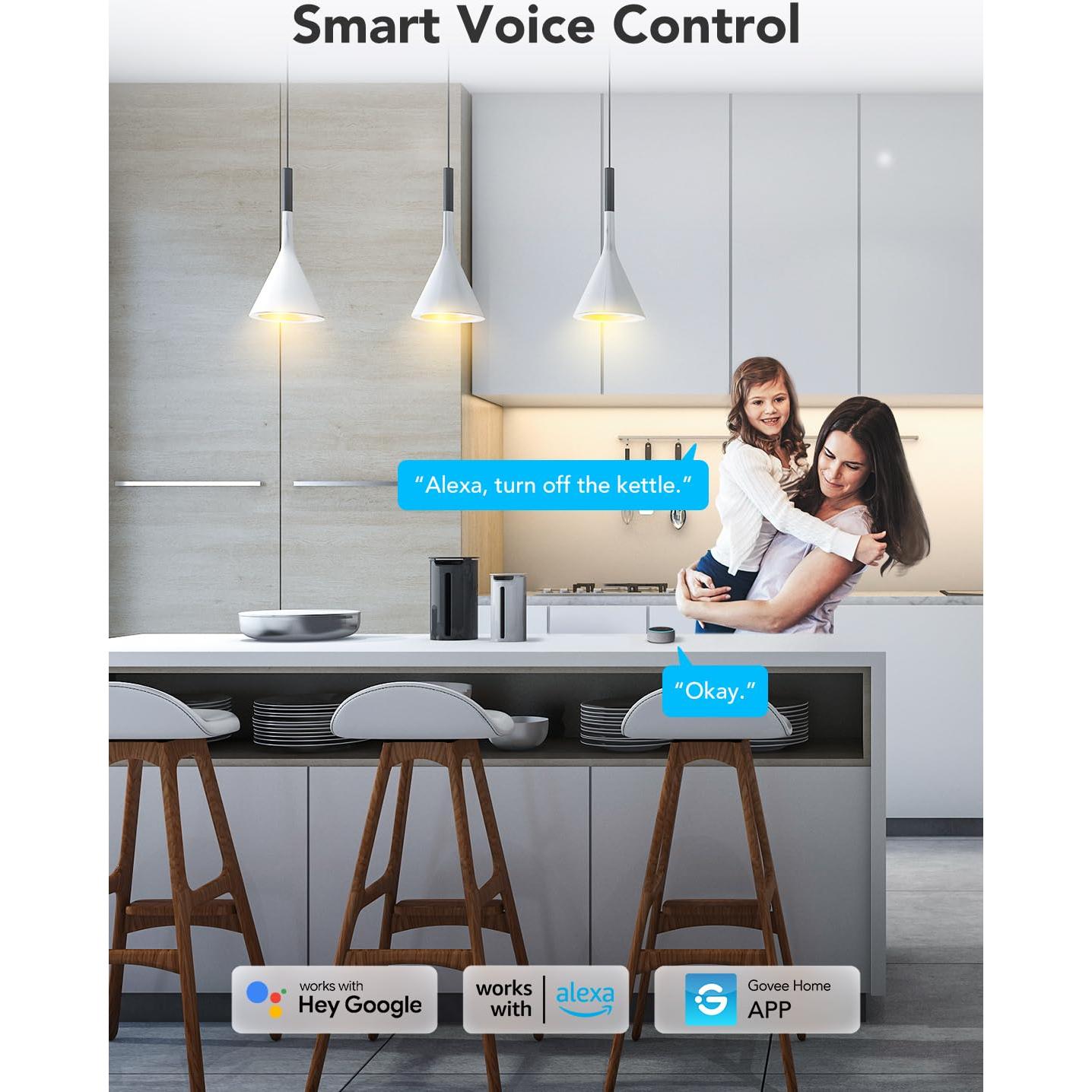 Enchufe Inteligente Govee 15A con Monitoreo de Energía