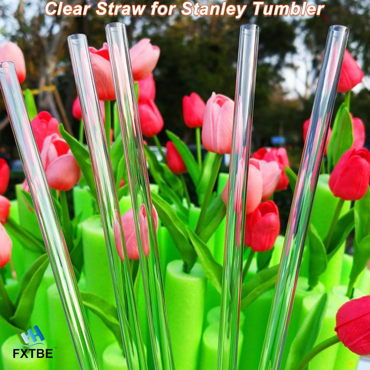 Paquete de 6 Popotes Reutilizables FXTBE para Taza Stanley 40 OZ
