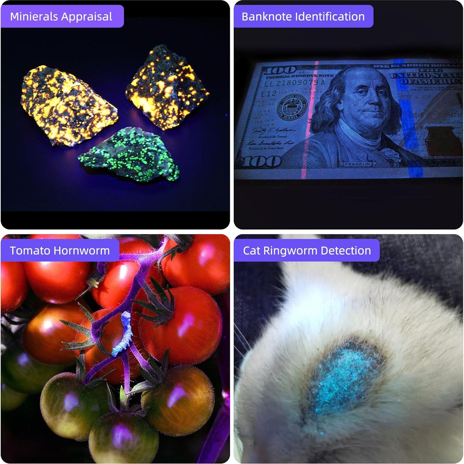 Linterna UV Recargable DARKBEAM 365nm y 395nm - Paquete de 2