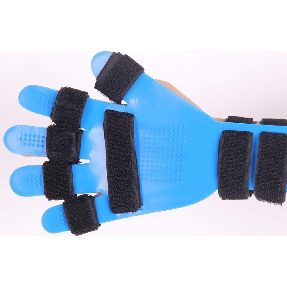 Ortesis de Dedos Ewinodon para Rehabilitación - Azul