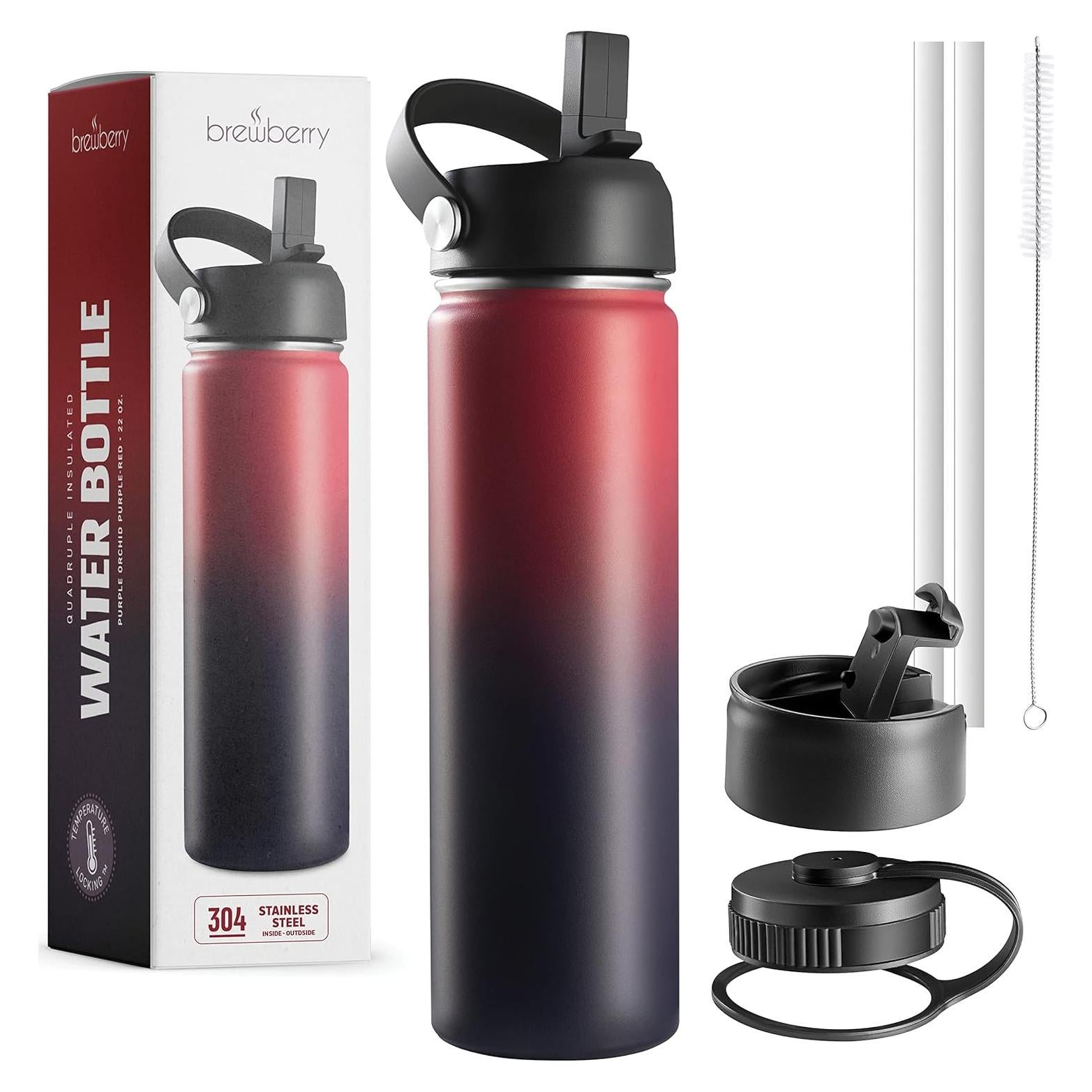 Botella de Agua Aislada Brewberry 600ml Orquídea Púrpura