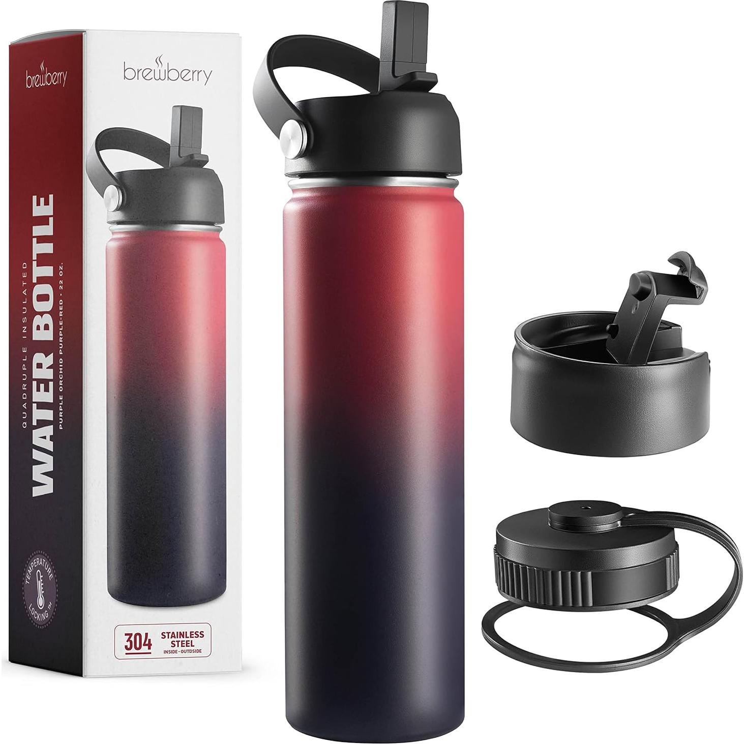 Botella de Agua Aislada Brewberry 600ml Orquídea Púrpura